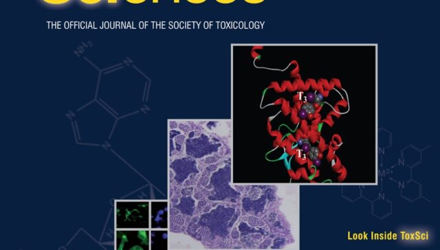 Metabolism and Toxicity of Trichloroethylene and Tetrachloroethylene in Cytochrome P450 2E1 Knockout and Humanized Transgenic Mice Metabolism and Toxicity of Trichloroethylene and Tetrachloroethylene in Cytochrome P450 2E1 Knockout and Humanized Transgenic Mice