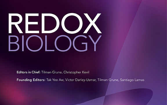 Activation of the mechanosensitive Ca2+ channel TRPV4 induces endothelial barrier permeability via the disruption of mitochondrial bioenergetics Activation of the mechanosensitive Ca2+ channel TRPV4 induces endothelial barrier permeability via the disruption of mitochondrial bioenergetics
