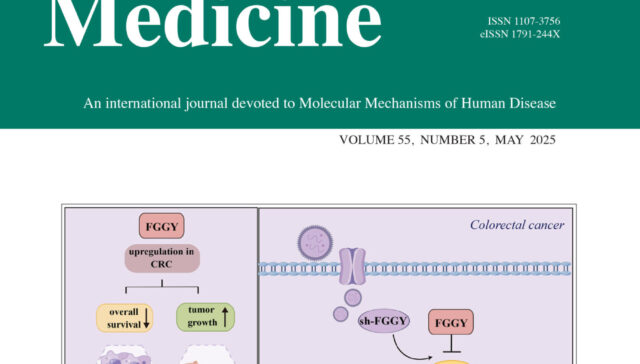 Damage to the blood‑brain barrier and activation of neuroinflammation by focal cerebral ischemia under hyperglycemic condition