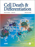 PRMT4 promotes ferroptosis to aggravate doxorubicin-induced cardiomyopathy via inhibition of the Nrf2/GPX4 pathway