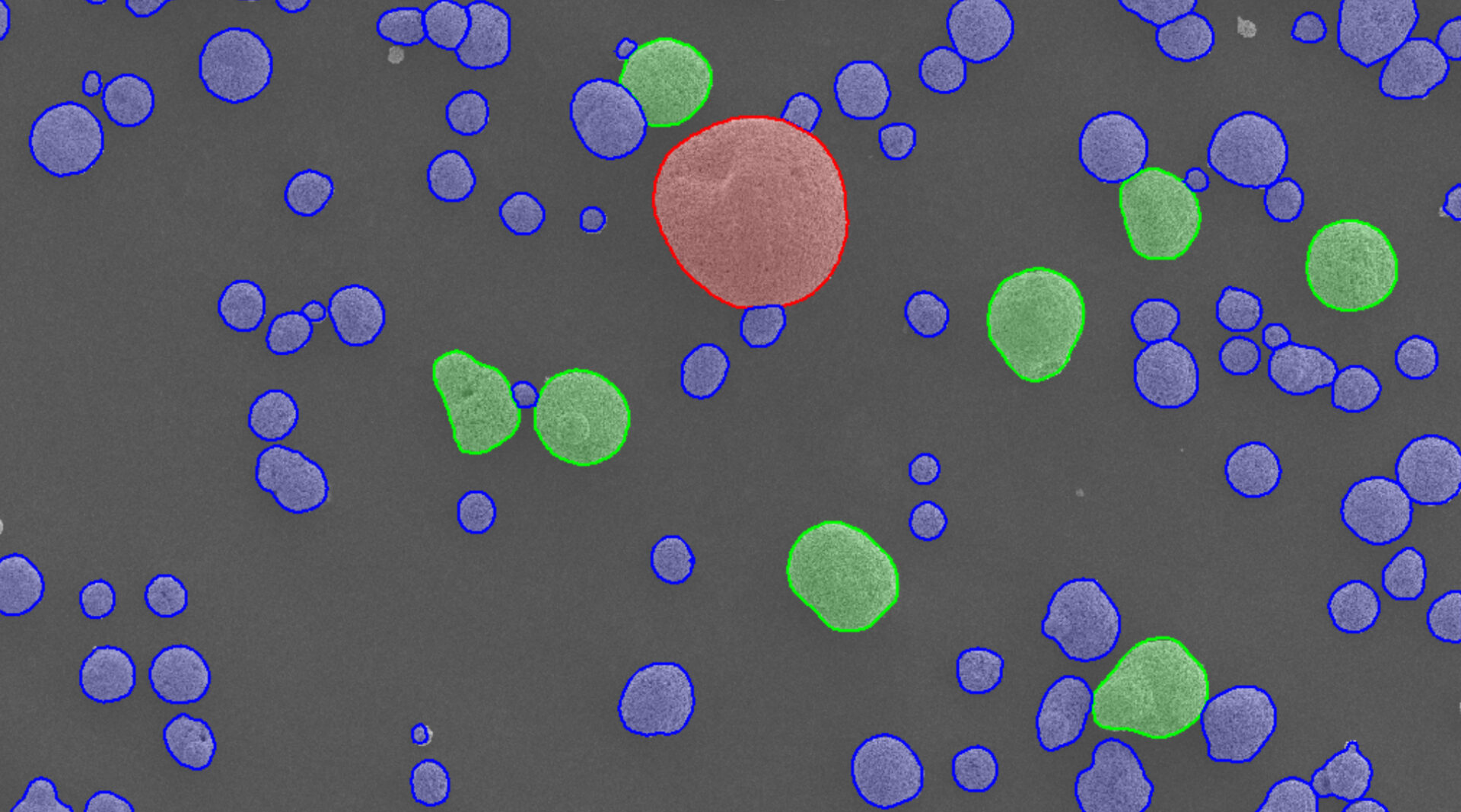 Particle Size (PSA) (EM)