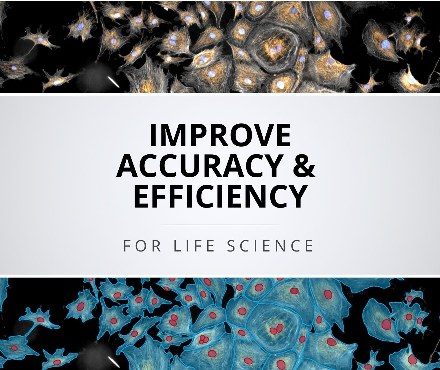 Improve Life Science Research Efficiency and Accuracy with AI and Automation for Accelerated Discoveries