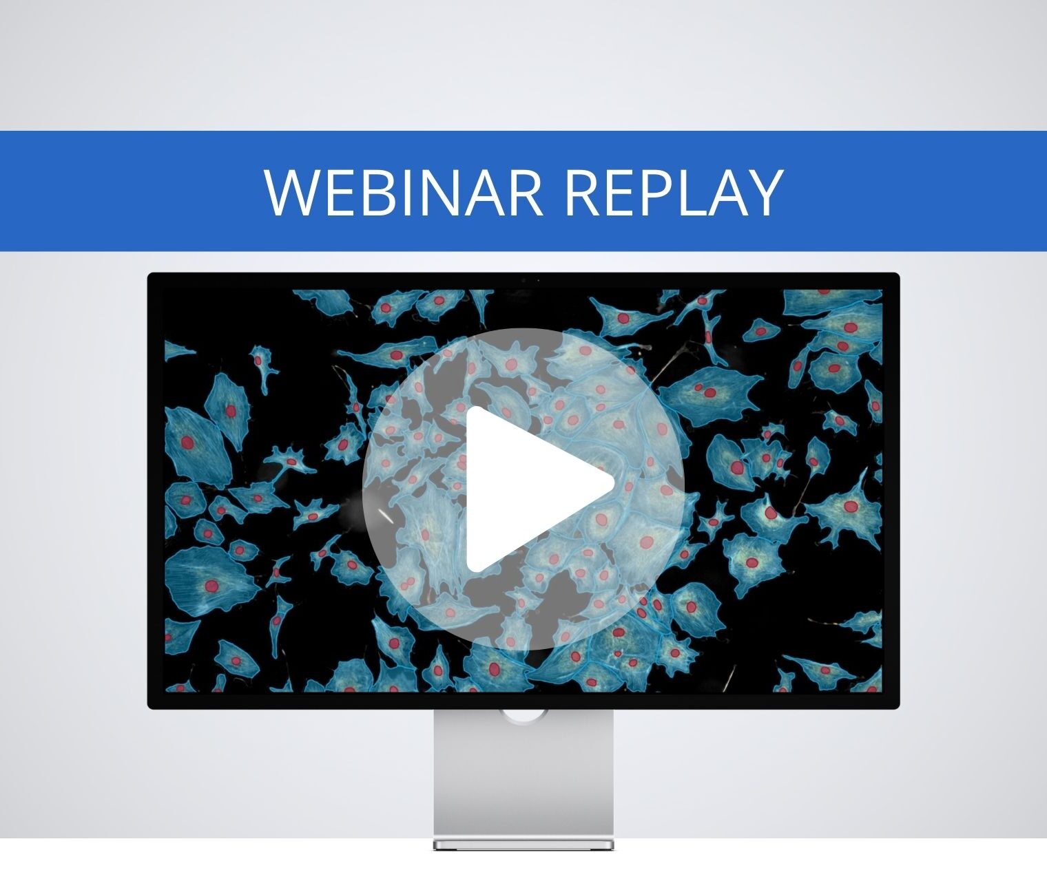 [Webinar Replay] 4 Strategies to Improve Accuracy & Efficiency for Life Science Research