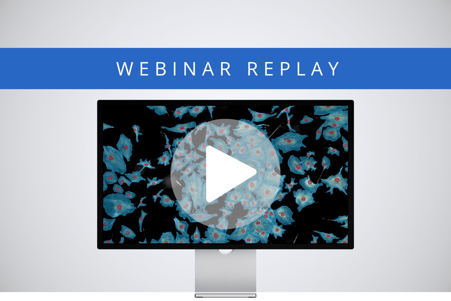 [Webinar Replay] 4 Strategies to Improve Accuracy & Efficiency for Life Science Research