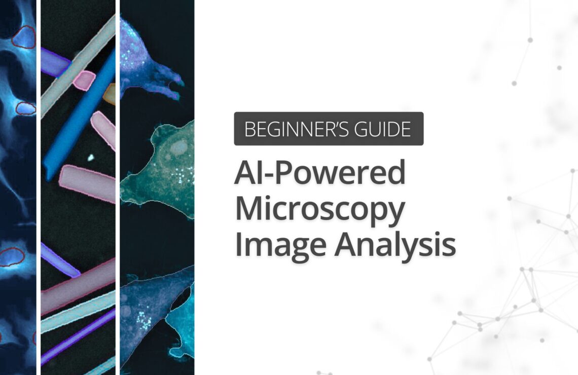 Beginner’s Guide to AI-Powered Microscopy Image Analysis
