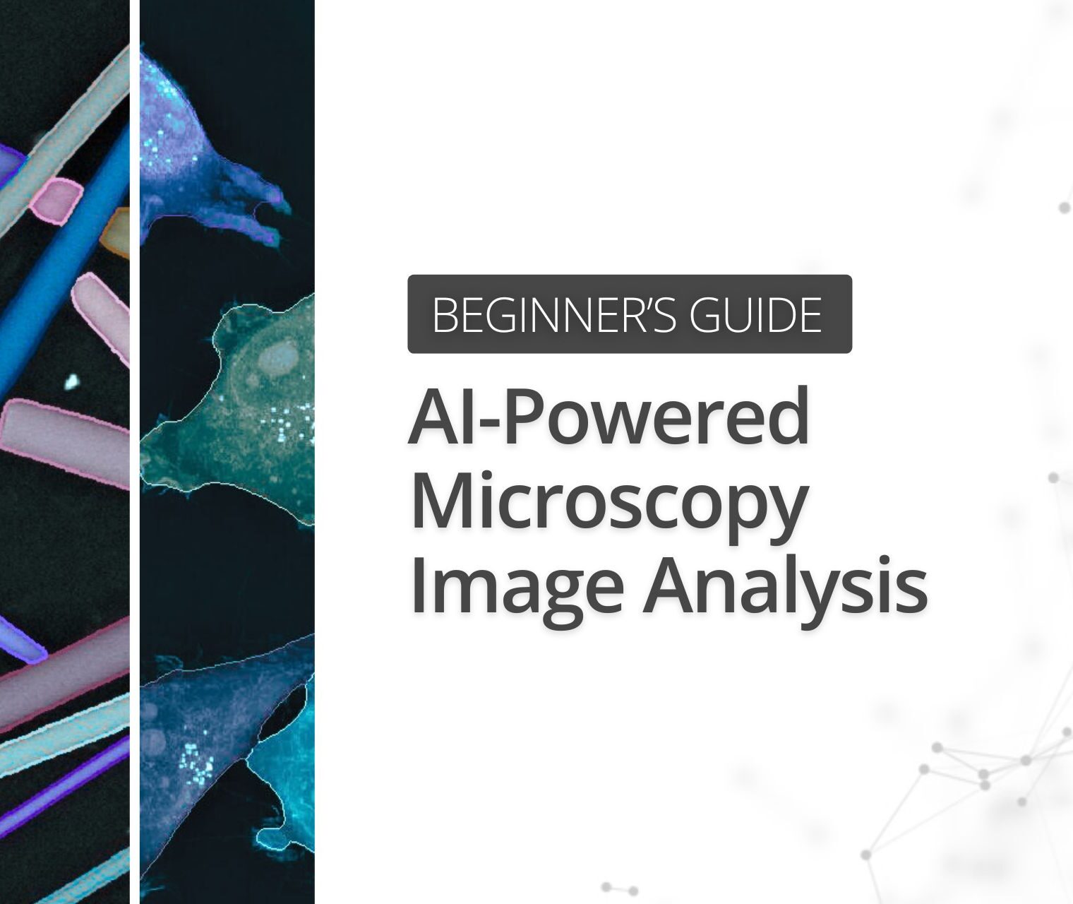 Beginner’s Guide to AI-Powered Microscopy Image Analysis