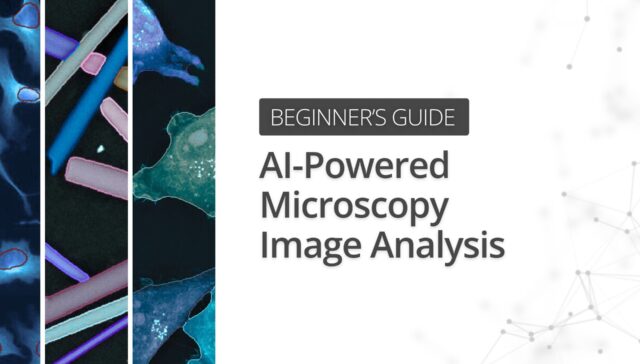 Beginner’s Guide to AI-Powered Microscopy Image Analysis | AI Essentials