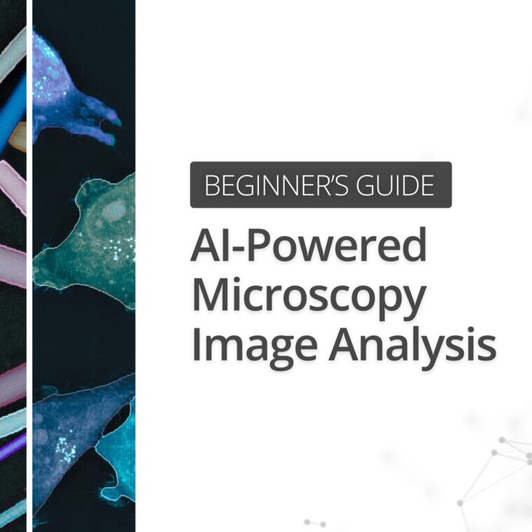 Beginner’s Guide to AI-Powered Microscopy Image Analysis