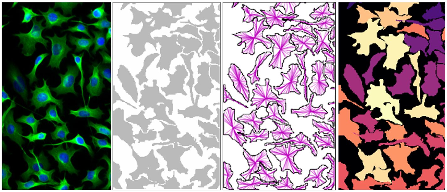 Core Segmentation Tasks Suited to AI