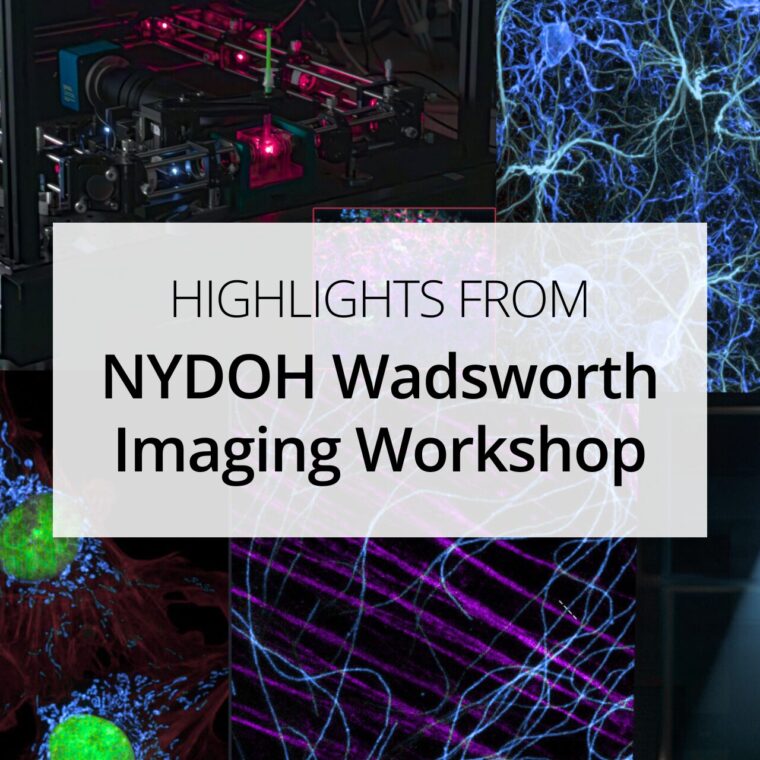 From Deconvolution to Deep Learning: Highlights from the NYSDOH’s Wadsworth Center Imaging Workshop