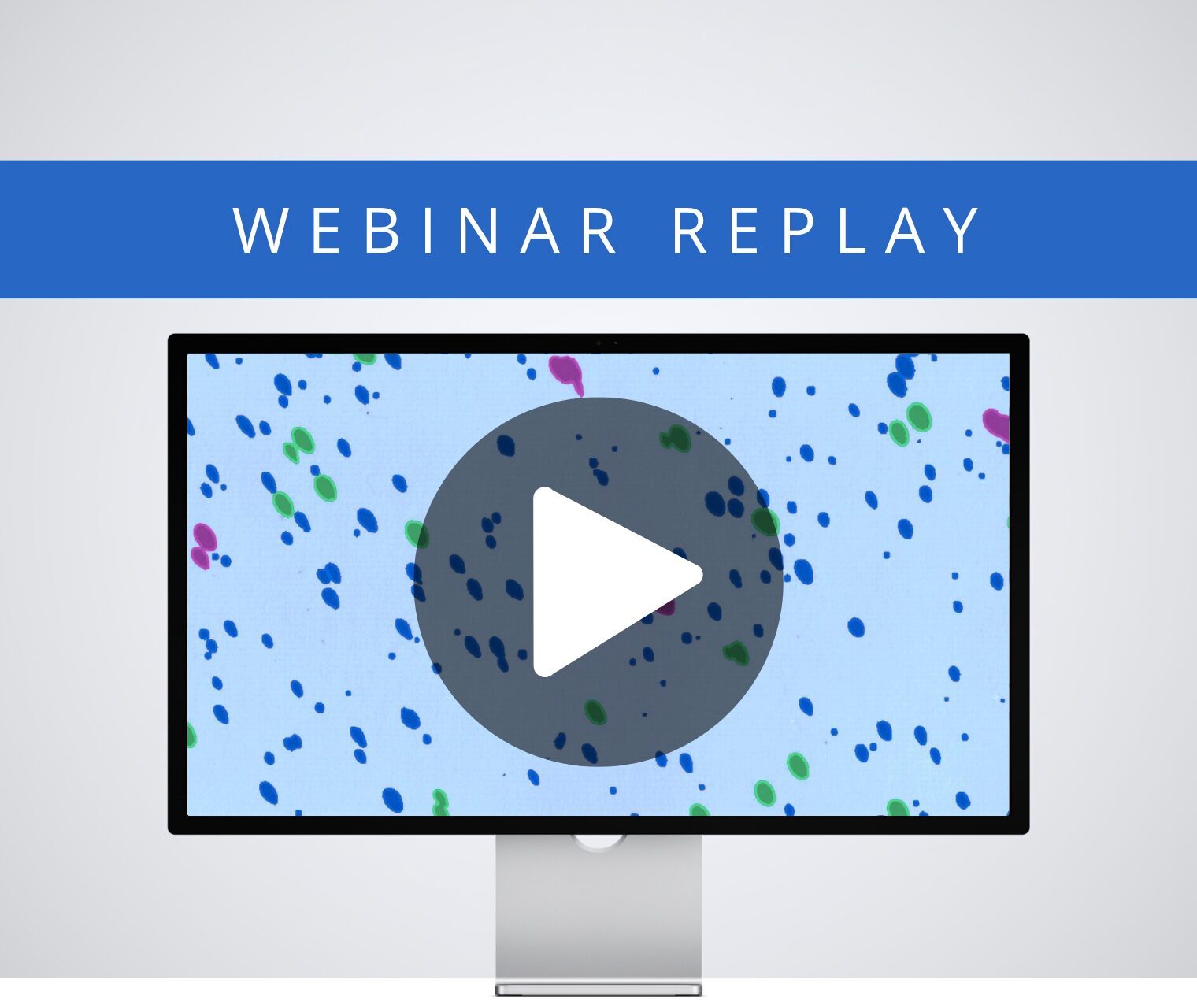 [Webinar Replay] Particle Analysis Errors Costing You? Protect QC with Deep Learning Automation (in 1 Hour!)