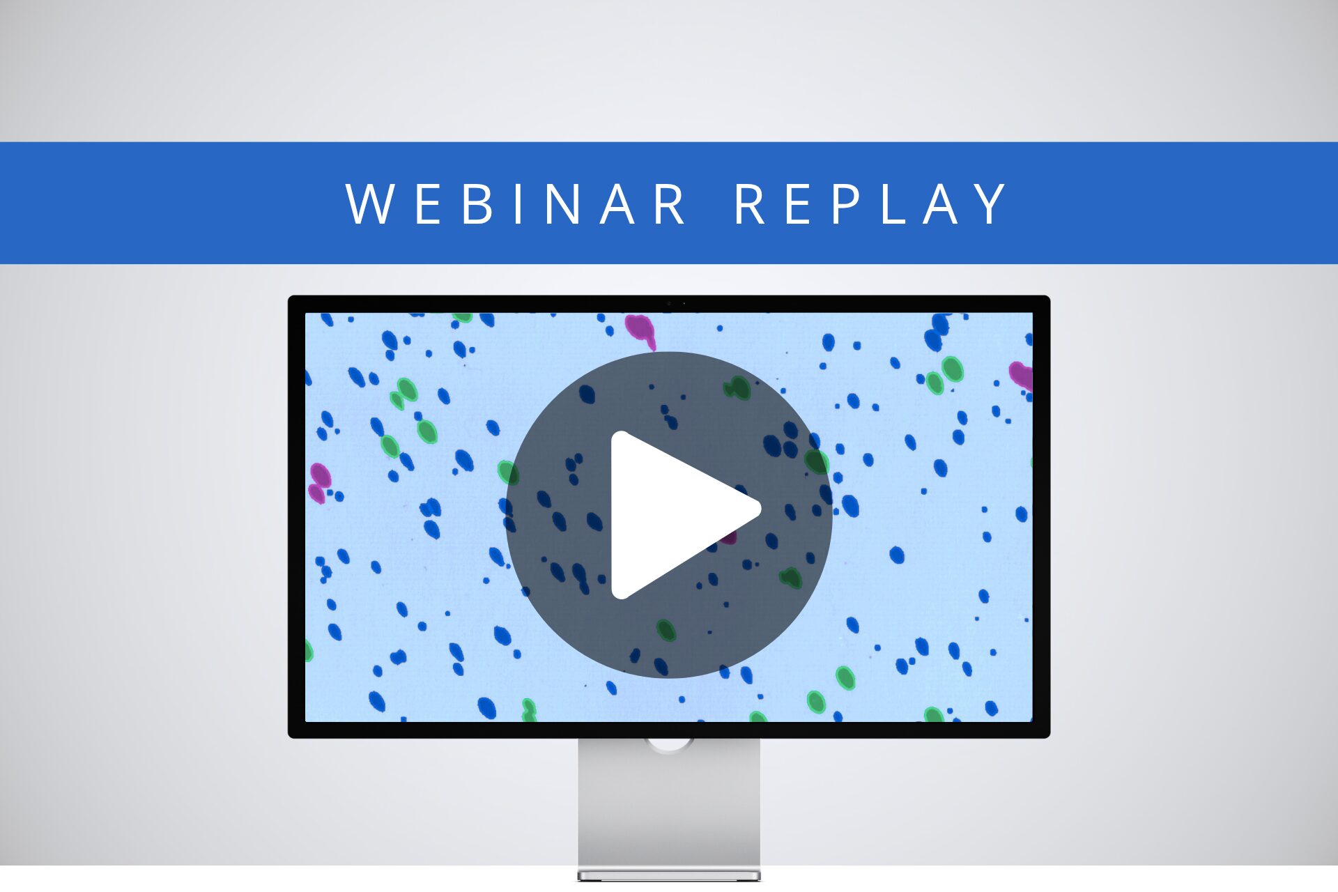 [Webinar Replay] Particle Analysis Errors Costing You? Protect QC with Deep Learning Automation (in 1 Hour!)