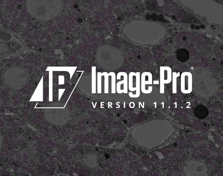 Discover What’s New in Image-Pro® 11.1.2!
