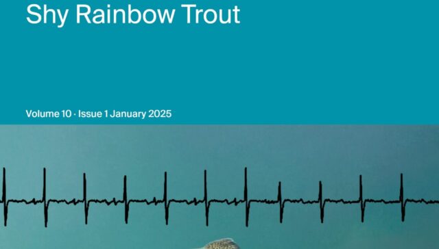 Bile Imprint on Parietal Peritoneum of Gilthead Seabream and Red Seabream: Effects of Fasting Duration, Stress, and Ice Storage