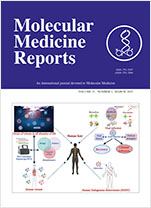 Calycosin‑7‑O‑β‑D‑glucoside downregulates mitophagy by mitigating mitochondrial fission to protect HT22 cells from oxygen‑glucose deprivation/reperfusion‑induced injury