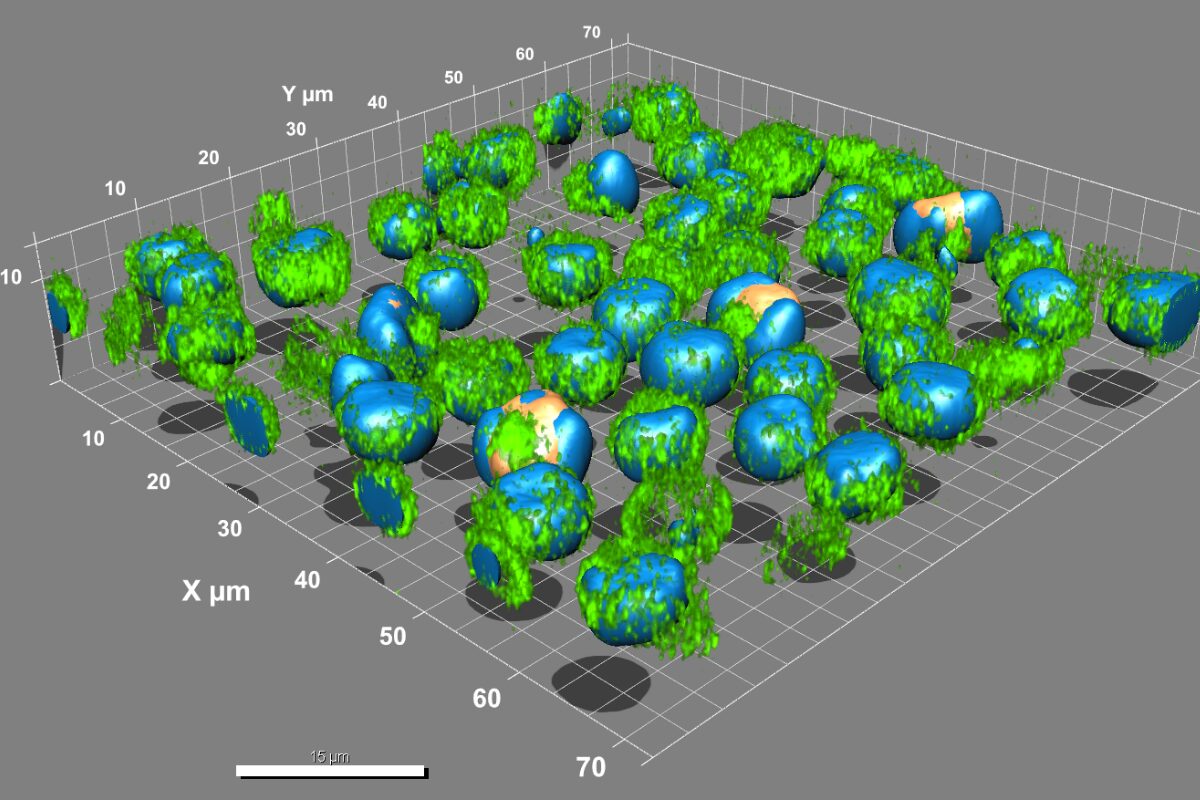 Add-Ons Unlock More Power​ - 3D Visualization