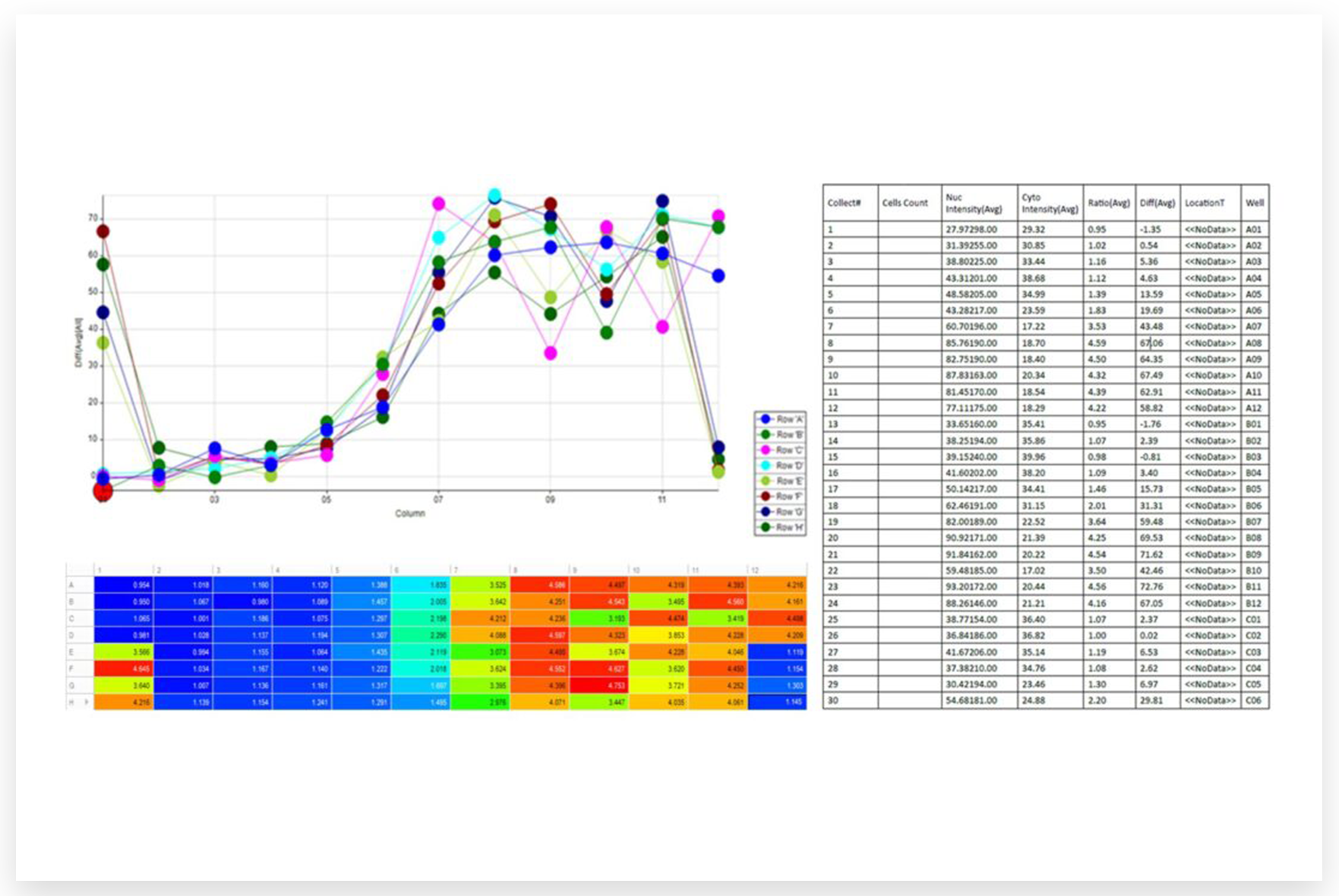 Turn Results into Actionable Reports​