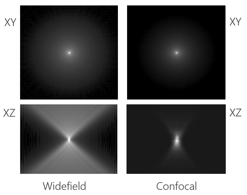 Why PSF Accuracy is Critical in Deconvolution​