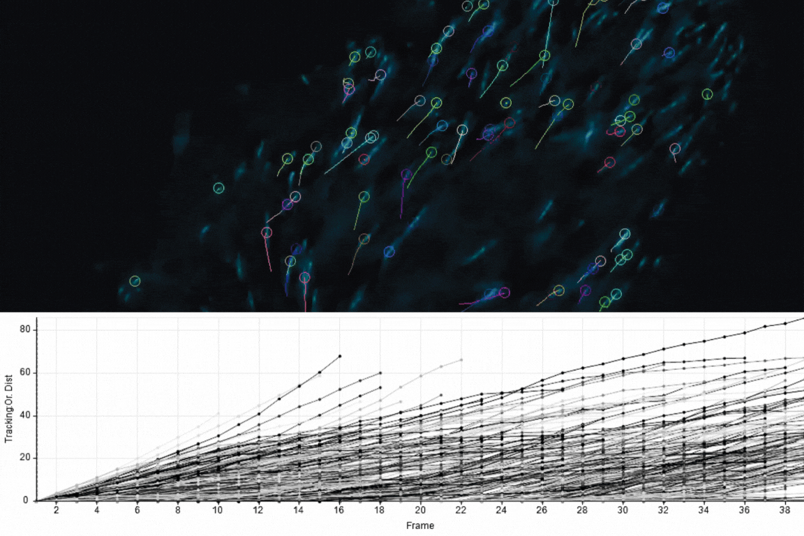 Visualize and Explore Data in Real Time