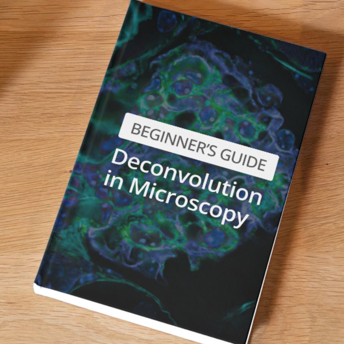 Beginner's Guide: Deconvolution in Microscopy | Deconvolution