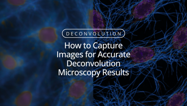 How to Capture Images for Accurate Deconvolution Microscopy Results