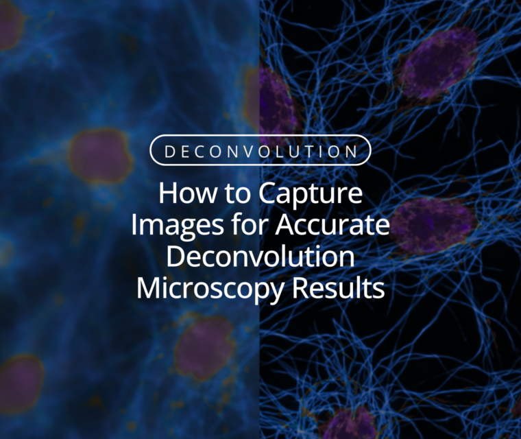 How to Capture Images for Accurate Deconvolution Microscopy Results
