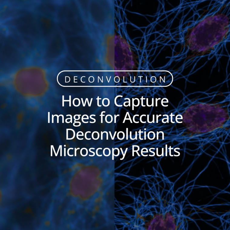 How to Capture Images for Accurate Deconvolution Microscopy Results