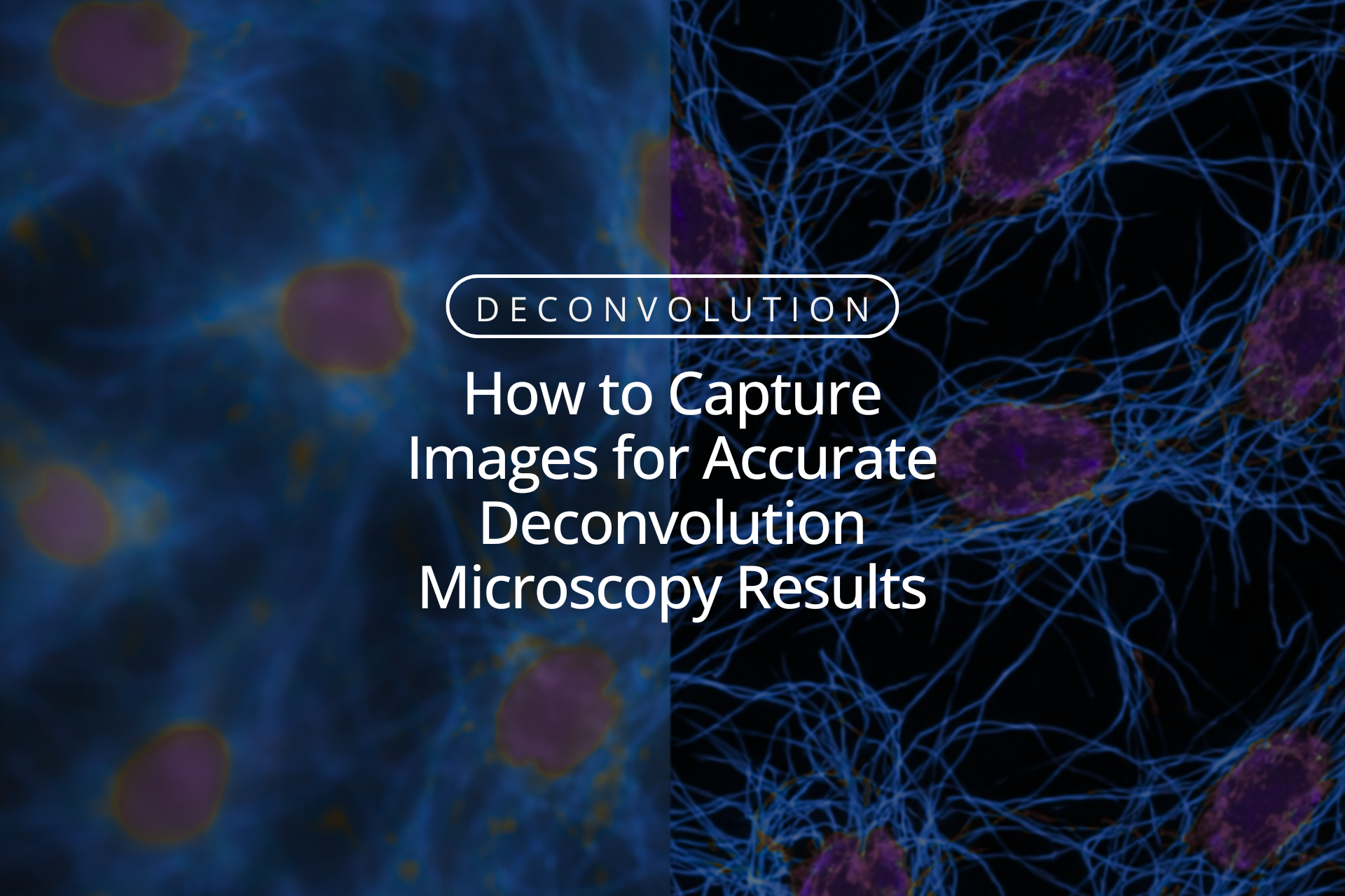 How to Capture Images for Accurate Deconvolution Microscopy Results How to Capture Images for Accurate Deconvolution Microscopy Results