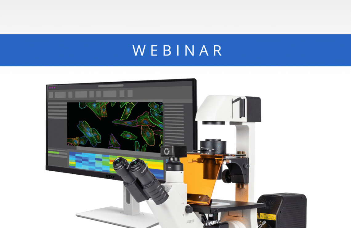 [Webinar] Live Cell Imaging in Motion: Time-Lapse Protocols and Fluorescence Analysis Simplified
