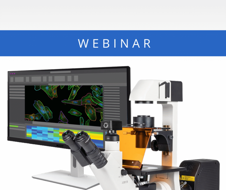 [Webinar] Live Cell Imaging in Motion: Time-Lapse Protocols and Fluorescence Analysis Simplified