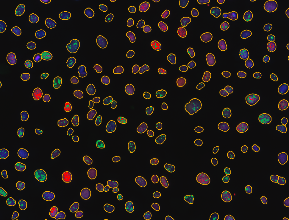 C05b-Objects-within-Objects-After-e1648084303988