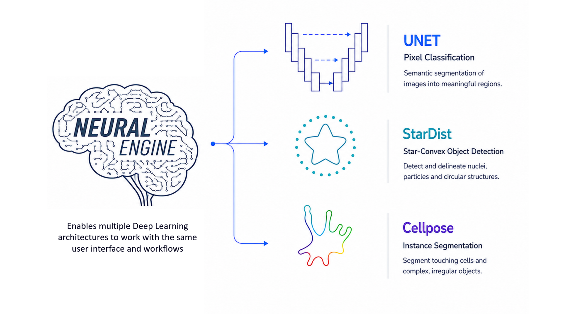 1. Why One AI Model Isn't Enough for Microscopy