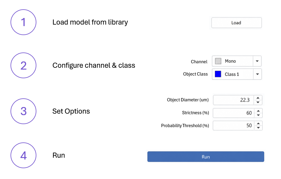Figure 4. Prediction, fine-tuning, and training are managed through a workflow designed specifically for microscopy users.