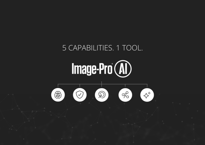 What Makes Image-Pro AI Deep Learning Unique for Microscopy? What Makes Image-Pro AI Deep Learning Unique for Microscopy?