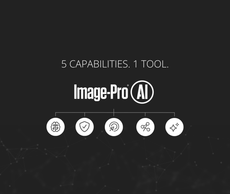 What Makes Image-Pro AI Deep Learning Unique for Microscopy?
