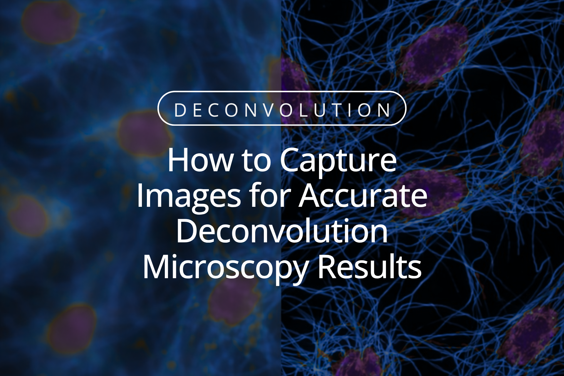 How to Capture Images for Accurate Deconvolution Microscopy Results